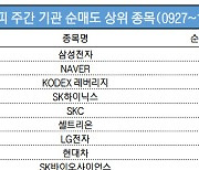 코스피 주간 기관 순매도 1위 '삼성전자'