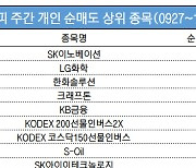 코스피 주간 개인 순매도 1위 'SK이노베이션'