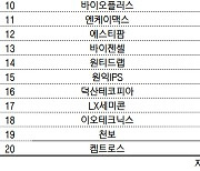 코스닥 주간 개인 순매수 1위 '엘앤에프'