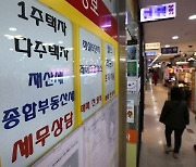 "재산세가 왜 이래?".. 상한선 30% 오른 가구, 4년 전보다 21배 늘었다