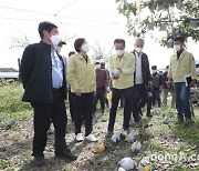 이성희 농협중앙회장, 휴일 강풍·우박피해 농업현장 점검