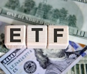 글로벌 탄소배출권 ETF, 제대로 알고 투자하자 [더 머니이스트-김태선의 탄소배출권]