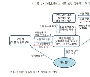 "보험 선물하기, 판매 가이드라인 필요"