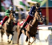 HUNGARY NATIONAL GALLOP