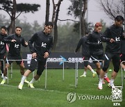 축구 국가대표, 카타르 월드컵 최종예선 앞두고 훈련 돌입