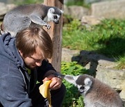 POLAND ANIMALS