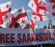 GEORGIA SAAKASHVILI ARREST