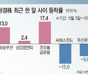 전세계 탄소중립 열풍..친환경株가 간다