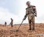 [국감브리핑]軍, 23년 간 전국서 지뢰 6만9531개 제거