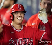 수치로 증명된 오타니의 인기, 올해 MLB TV 최다 검색