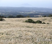 제주 산지·북동부 가끔 비..낮 최고 28∼29도