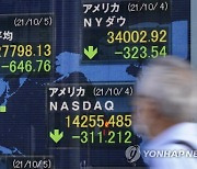 JAPAN STOCK MARKET