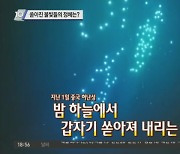 쏟아진 불빛들의 정체는?