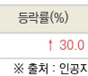 [fnRASSI]오늘의 상한가, 티에이치엔 30.0% ↑