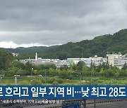 대전·세종·충남 대체로 흐리고 일부 지역 비..낮 최고 28도