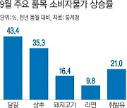 물가, 반년째 월 2% 이상 상승..앞으로도 오를 일만 남았다