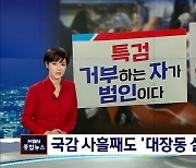 국감 사흘째도 '화천대유' 공방.."국힘 게이트" vs "박영수는 빼라"