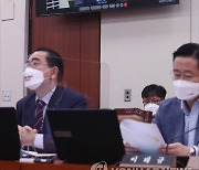 영상 업무보고 하는 장하성 주중대사