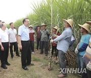 중국 후난성, 농촌총각 결혼난에 "여성들은 고향에 머물러달라"