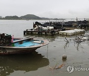 한강하구 쓰레기 줄이기 5년간 총 425억원 투입