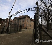 Poland Auschwitz