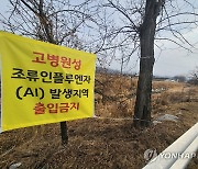 충남 아산·경기 안성 야생조류 분변서 AI 항원 검출