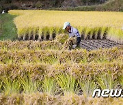 세계식량가격 10년만에 최대..곡물·유지류 가격 상승·대두유는 하락