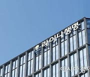 美보험사 시그나, '韓 라이나생명' 등 처브에 매각