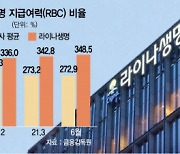 [시그널] 생보業 3중고에 탈출구 찾는 외국계 생보사..M&A시장 불붙나