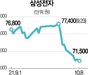 4분기 D램값 하락 반영..삼성, 호실적에도 주가 제자리