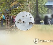 '쓰쓰가무시병' 작년보다 25.3%↑.."가을철 야외활동 주의해야"