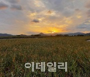 "세계유산 韓 갯벌로 온실가스 없앤다"..文 탄소중립 탄력