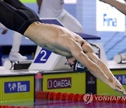 HUNGARY SWIMMING FINA WORLD CUP