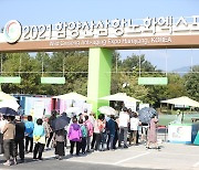 함양산삼항노화엑스포 코로나 속 한 달 대장정 마무리