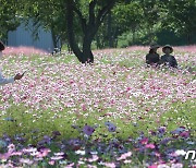 대구 낮최고 기온 31.8도..114년만에 10월 최고 기온