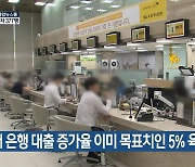 5대 은행 대출 증가율 이미 목표치인 5% 육박