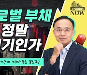 글로벌 부채 문제는 어떤 경우에 위기가 될까? [허란의 경제한끼]