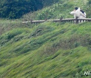 '미시령 시속 90.4km' 강원 산지 강한 바람