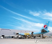 항공·해상 화물운임 역대 최고..항공사·수출기업 엇갈린 희비