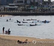 '서핑 배우기 삼매경'