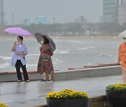 [오늘의 날씨]대구·경북(11일, 월)..전날보다 낮최고 11도 낮아 쌀쌀