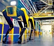현대차 '미래 먹거리' 도심항공모빌리티·로봇