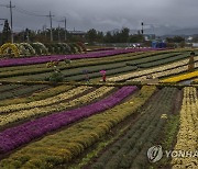 전국 흐리고 곳곳 비..낮 최고 21도