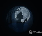 삼성전자, 해외 영화감독 협업 '스마트폰 영화' 공개
