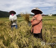 INDONESIA ECONOMY