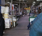 집단감염 폐쇄 마포농수산물시장 13일 0시부터 재개장