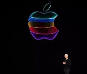 애플, '인앱결제 우회 허용' 판결에 왜 항소했나