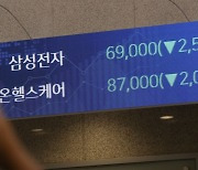 삼전·하이닉스 산 개미들 울었다.. 올들어 6조8000억원 손실 추정