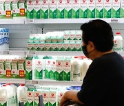"비싼 국내 우유 안 먹어"..'수입 멸균우유'로 눈 돌리는 소비자