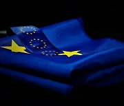 EU, 플랫폼 꼼수땐 매출 10% 벌금..美는 자체상품 팔면 기업 강제분할